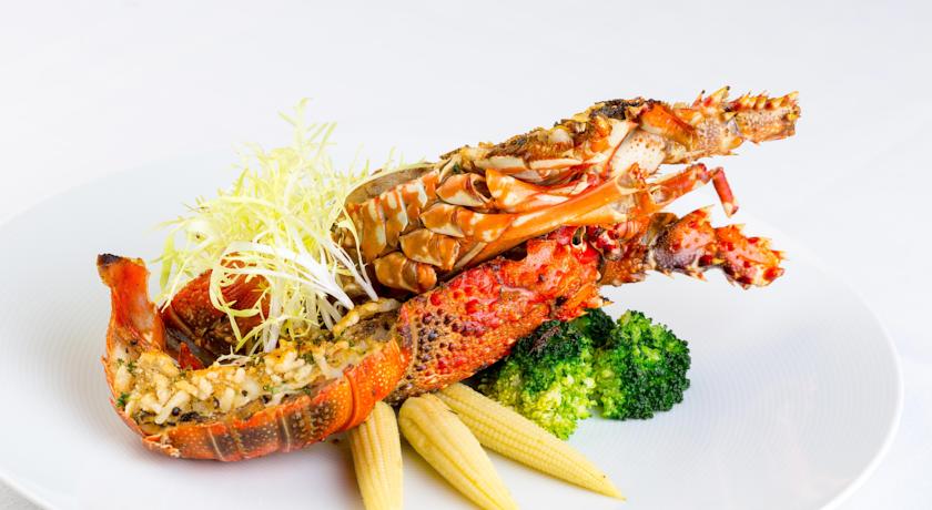 فندق Concorde Hotel Doha | حجز الفنادق بأفضل الأسعار والعروض - سندباد لکل رحلاتک