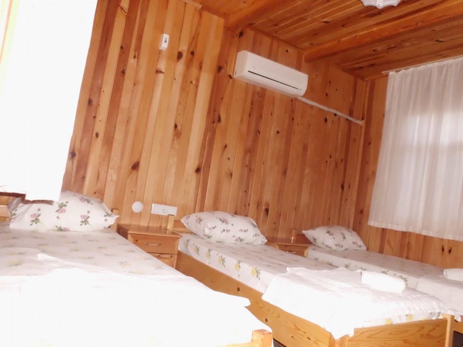Olympos Orange(118 Km Away From Antalya)