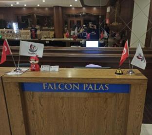 Falcon Palace Hotel (46km Away From Istanbul)