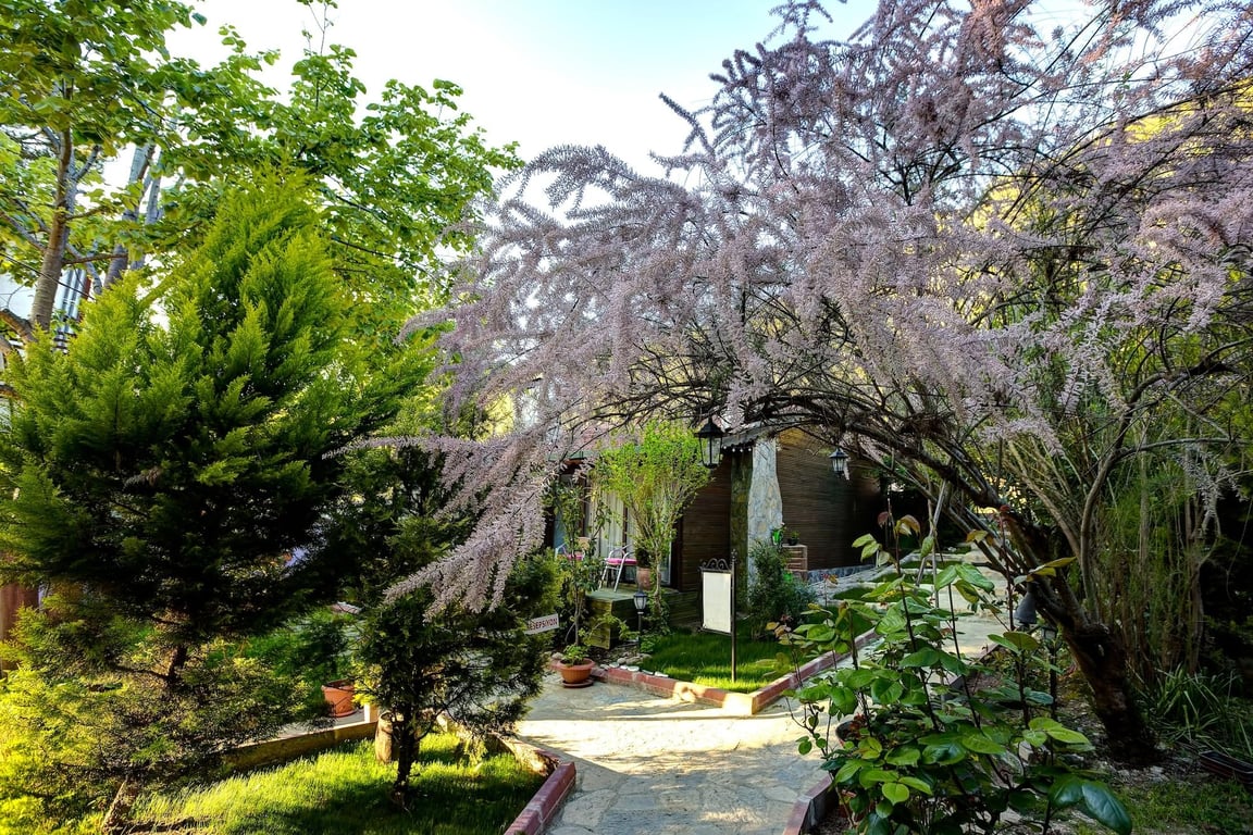 Ağva Park Mandalin Hotel   Adult Only