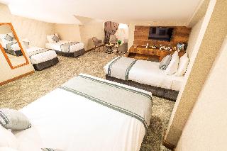 Istanbul Airport Express Hotel (36Km Away From Istanbul)