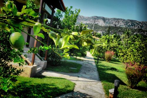Nerissa Hotel