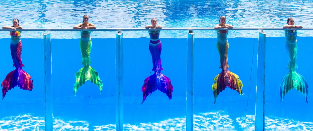 Daima Biz Hotel Dolusu Aquapark Access(Also Known As Daima Hotel)(49Km Away From Antalya)(Does Not Accept Only Men)