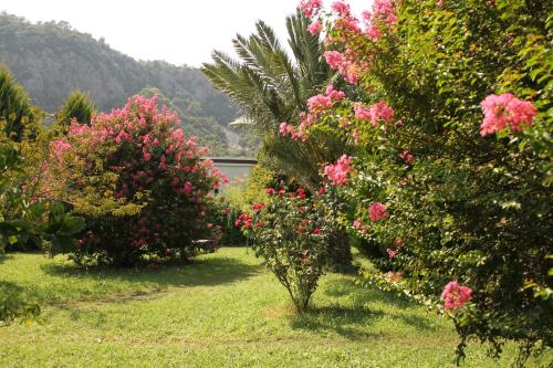 Hemeransanatolia(also Known As Anatolia Resort)(73 Km Away From Antalya)