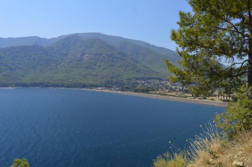 Erasmus Apart Hotel (84 Km Away From Marmaris)