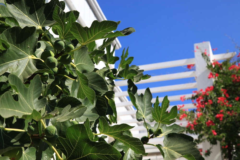 Muskebi Apart Hotel
