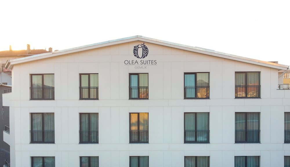 Olea Suites Otel(31Km Away From Bursa)