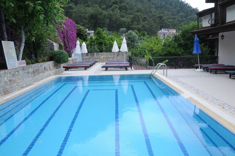 Villa Daffodil Special Class (also Known As Villa Daffodil Hotel) (7 Km Away From City)