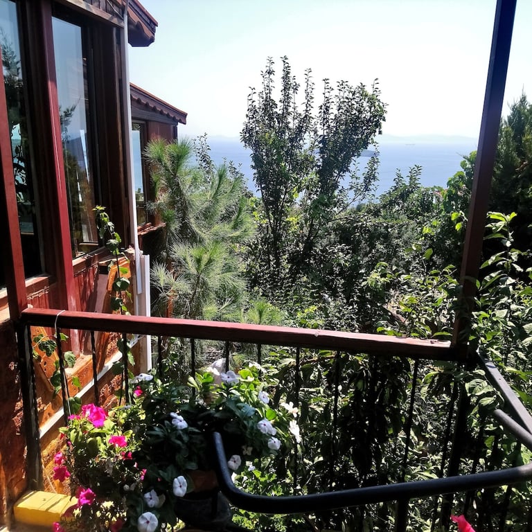 Tasev Butik Hotel(43Km Away From Bergama)(Limited Front Desk Contact To Property 7 Days In Advance)