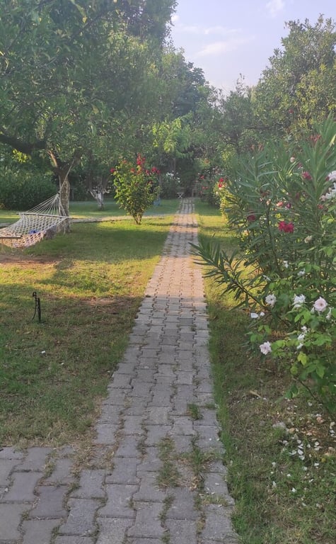 Cirali (limited Hours Front Desk Need To Contact Property In Advance)