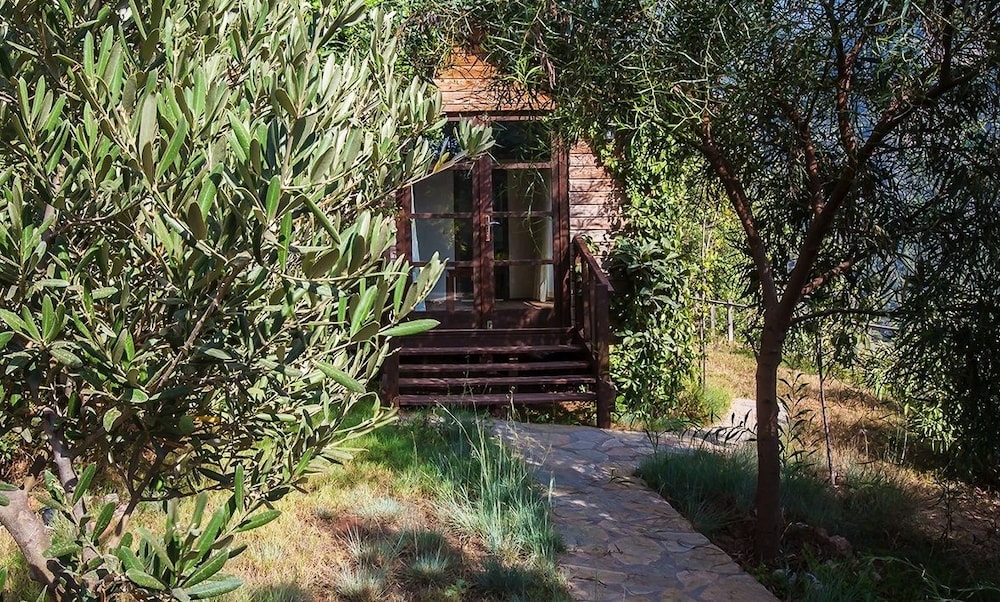 Kabak Avalon