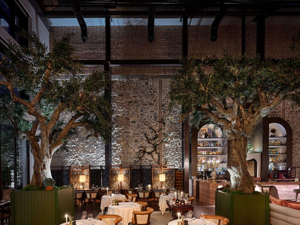 Aliee Istanbul   A Paris Society Collection Hotel