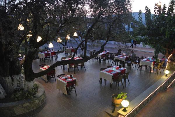 Mese Suites (Also Known As Salhan Apart Inn Hotel)