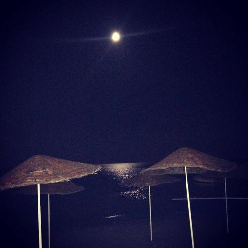 Mavi Kumsal Hotel (52 Km Away From Istanbul)