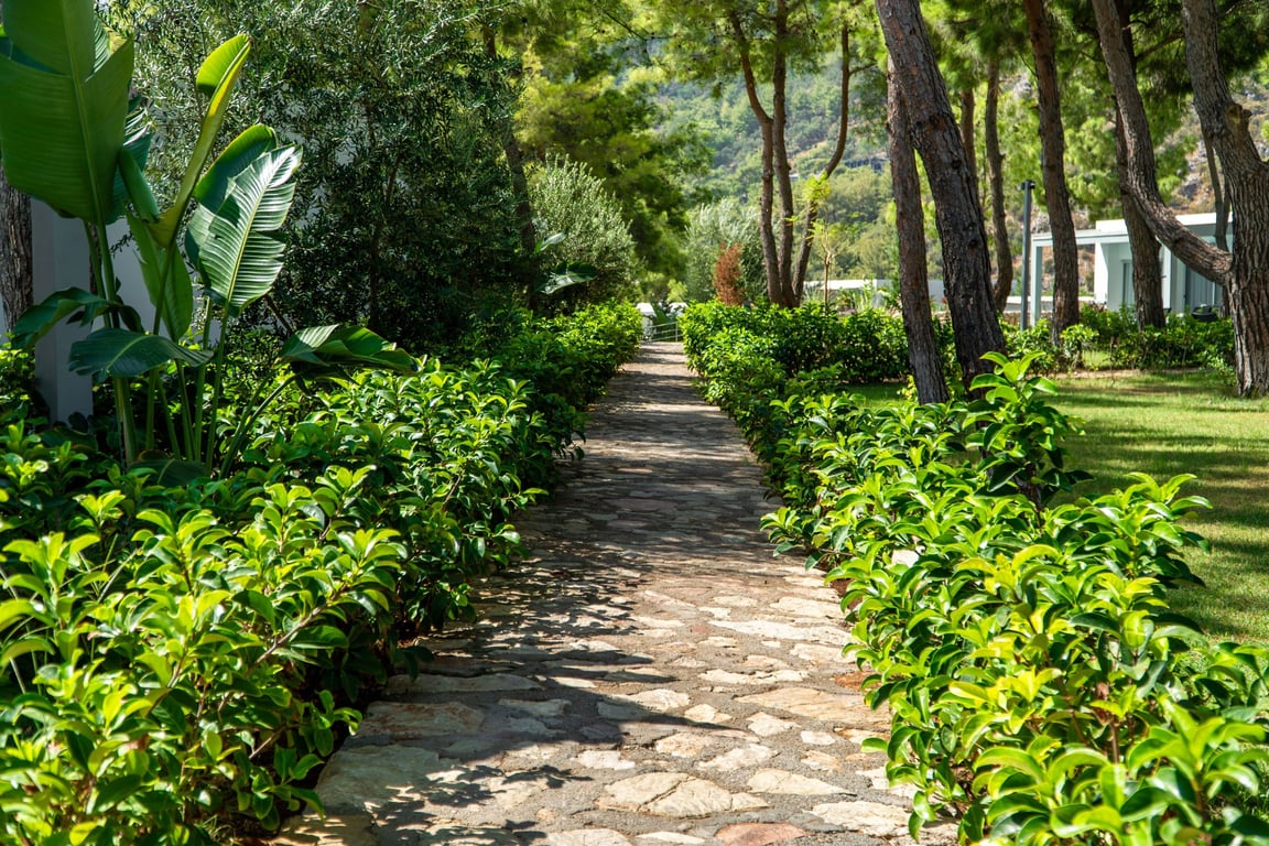Z-villas Beach Hotel