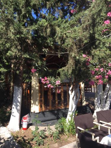 Kadirs Garden Adrasan (91km Away From Antalya)