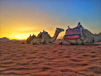 Wadi Rum Rosy Mountains Camp