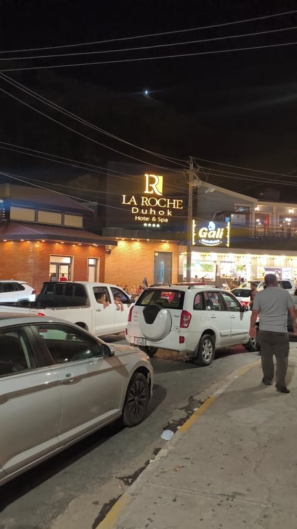 فندق لاروش دهوك