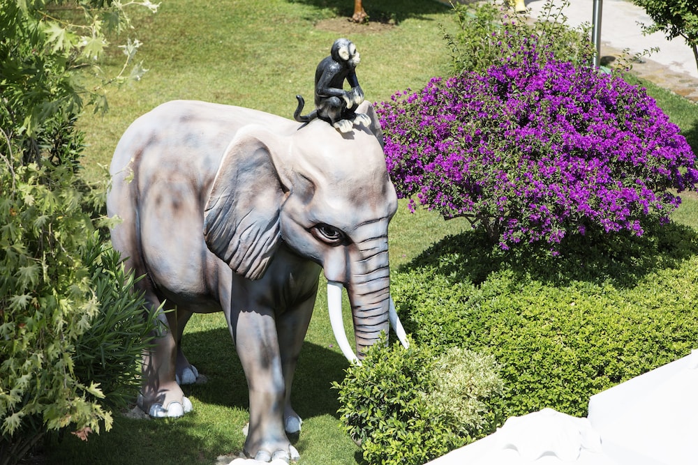 Alba Resort Hotel (63 Km Away From Antalya)(Does Not Accept Men Only Bookings)