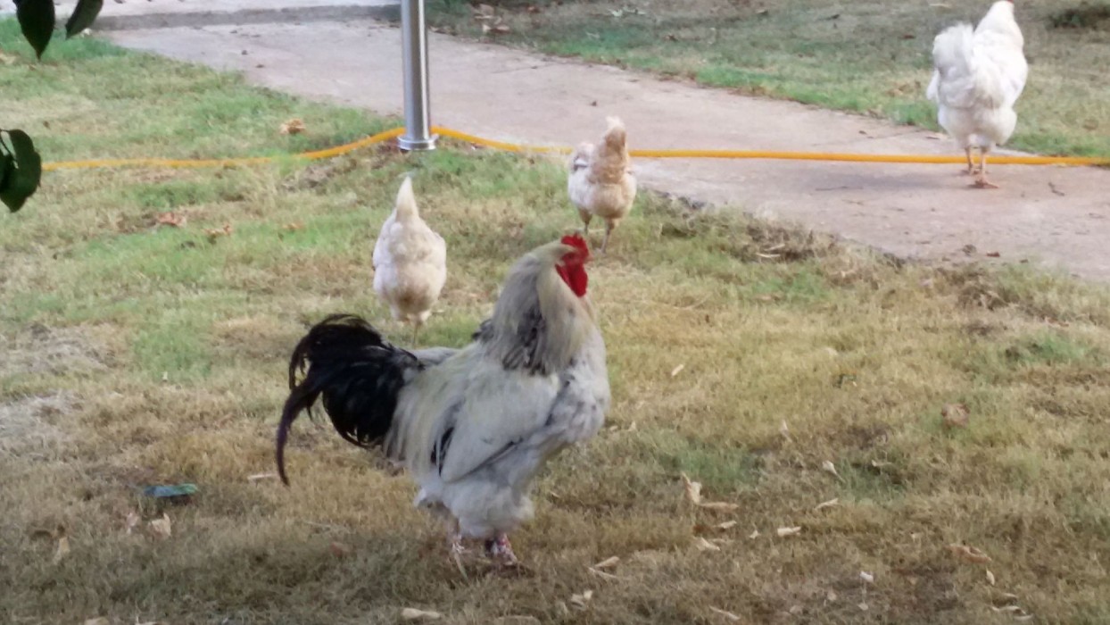 Maji Village (77km Away From Antalya)