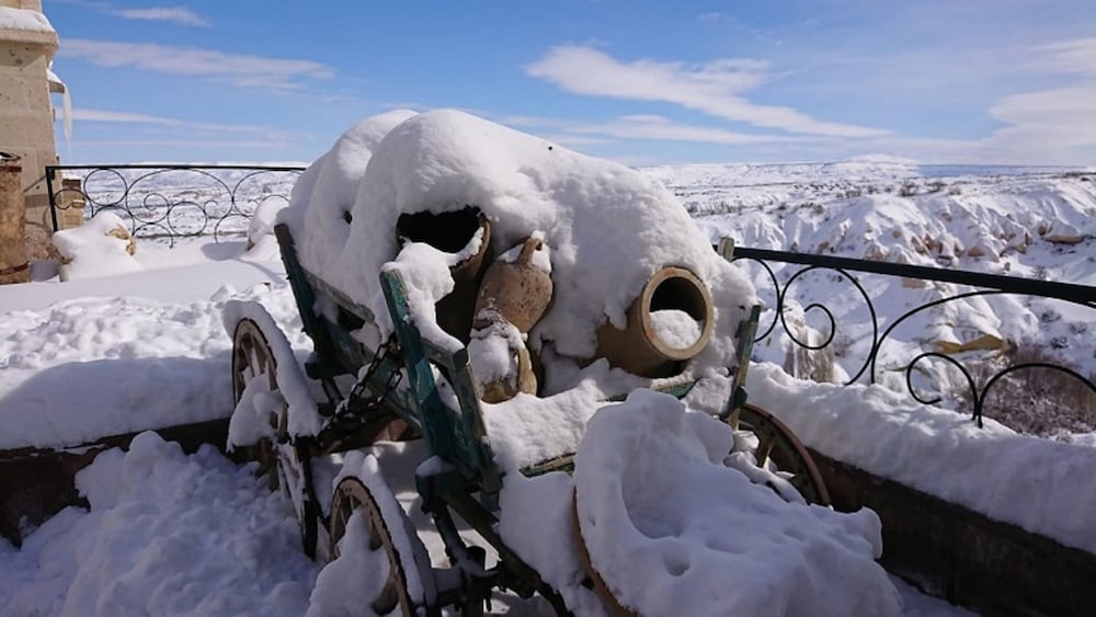 Pigeon Hotel