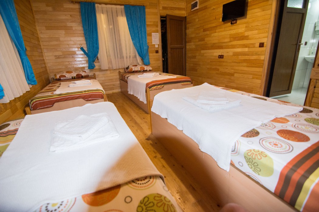 Olympos Orange(118 Km Away From Antalya)