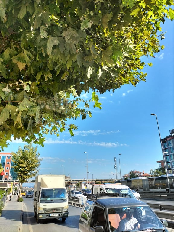 Istanbul Dedem Hotel