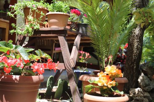 Plaj Hotel (79km Away From Antalya)