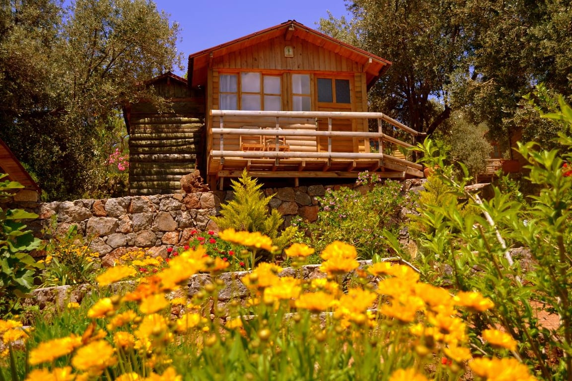 Olive Garden Kabak (92Km Away From Fethiye)