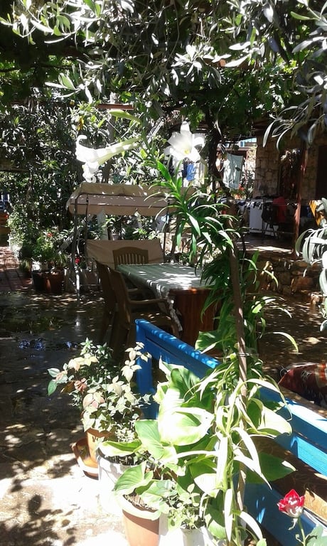 Likya Pansiyon(To Make An Arrangement For Check In Please Contact To Property At Least 7 Days In Advance)