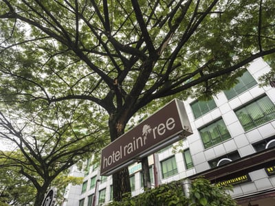 Raintree Hotel