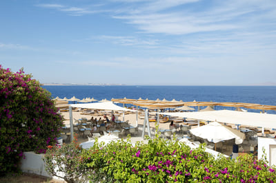 Amphoras Blu (also Known As Shores Aloha Resort And Otium Hotel Aloha)