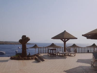 Grand Halomy Resort