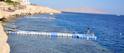 Siva Sharm Resort And Spa ( Ex Savita Resort And Spa)