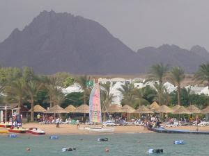 Camel Dive Club And Hotel (boutique Hotel)