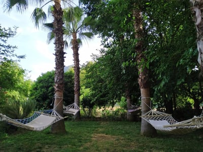 Olympos Yavuz Hotel