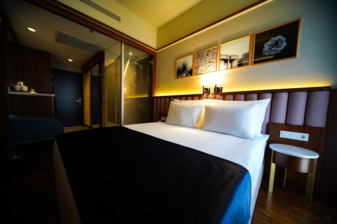 Four Points Flex by Sheraton Bursa Nilüfer