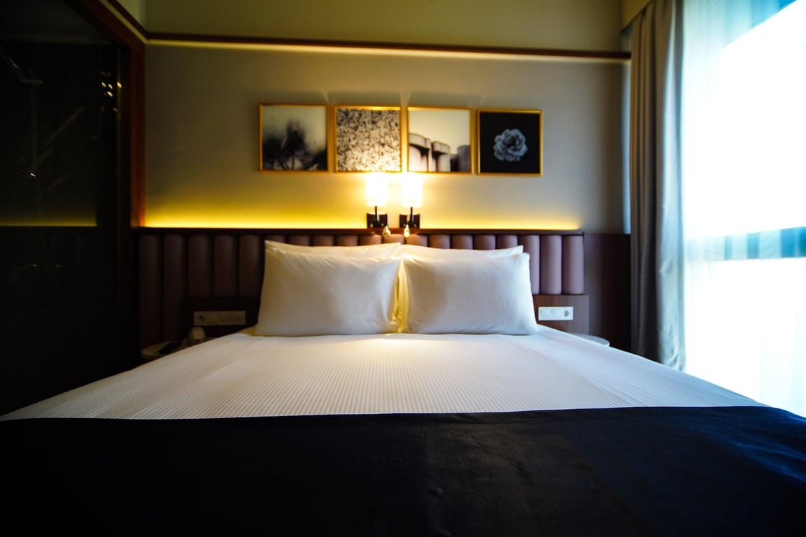 Four Points Flex by Sheraton Bursa Nilüfer