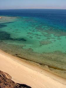 Camel Dive Club And Hotel (boutique Hotel)