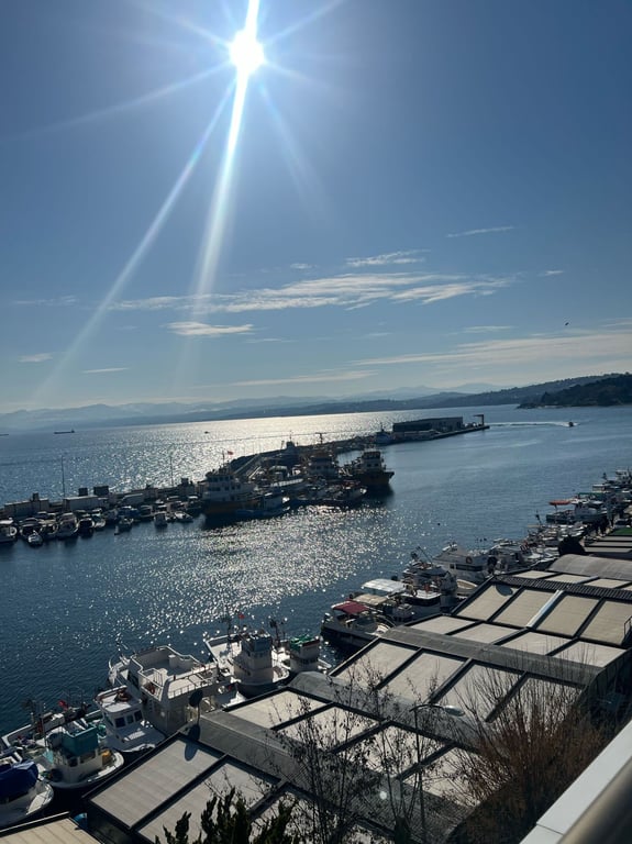 The Port Rooms Sinop