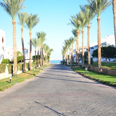 Ivy Cyrene Island Resort (formerly Hotel Sol Cyrene/ivy Cyrene Island Resort)