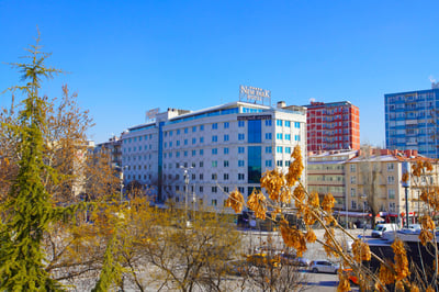 New Park Hotel