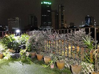 Rain Forest Hotel