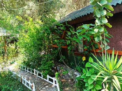 Canario Bungalows