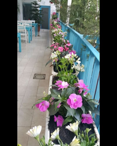 Adana City Butik Hotel