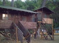 Olympos Woods Adults Only