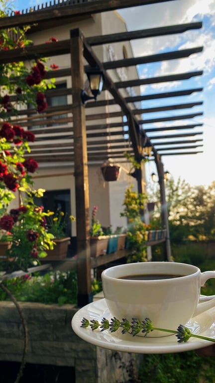 Calİna Hotel