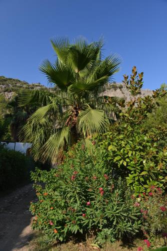 Adabella Pension (78km Away From Antalya)