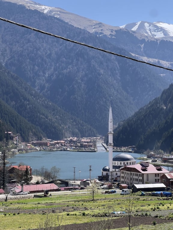 Albatros Uzungöl