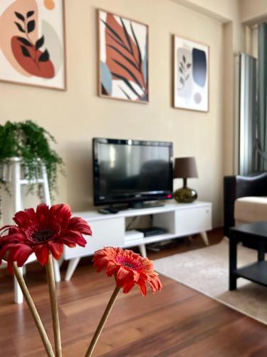 Pera Apartment Istanbul